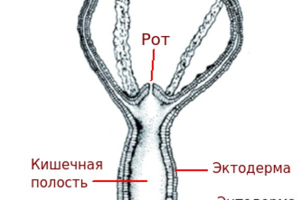 Kraken darknet ссылка тор