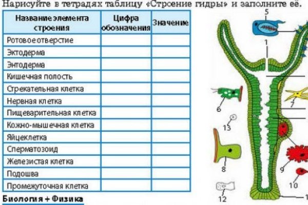 Кракен онион как зайти