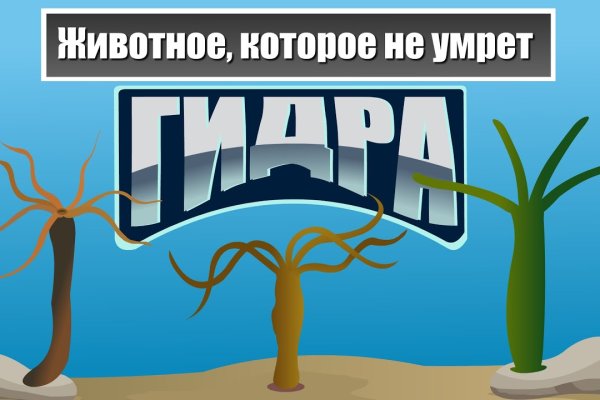 Кракен нарк