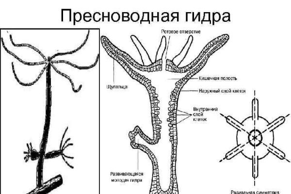 Кракен маркетплейс реклама текст